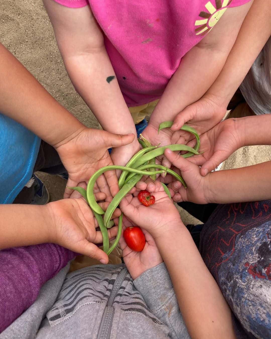 8 Developmental Benefits of Gardening for Kids 4 gardening for kids encourages healthy eating