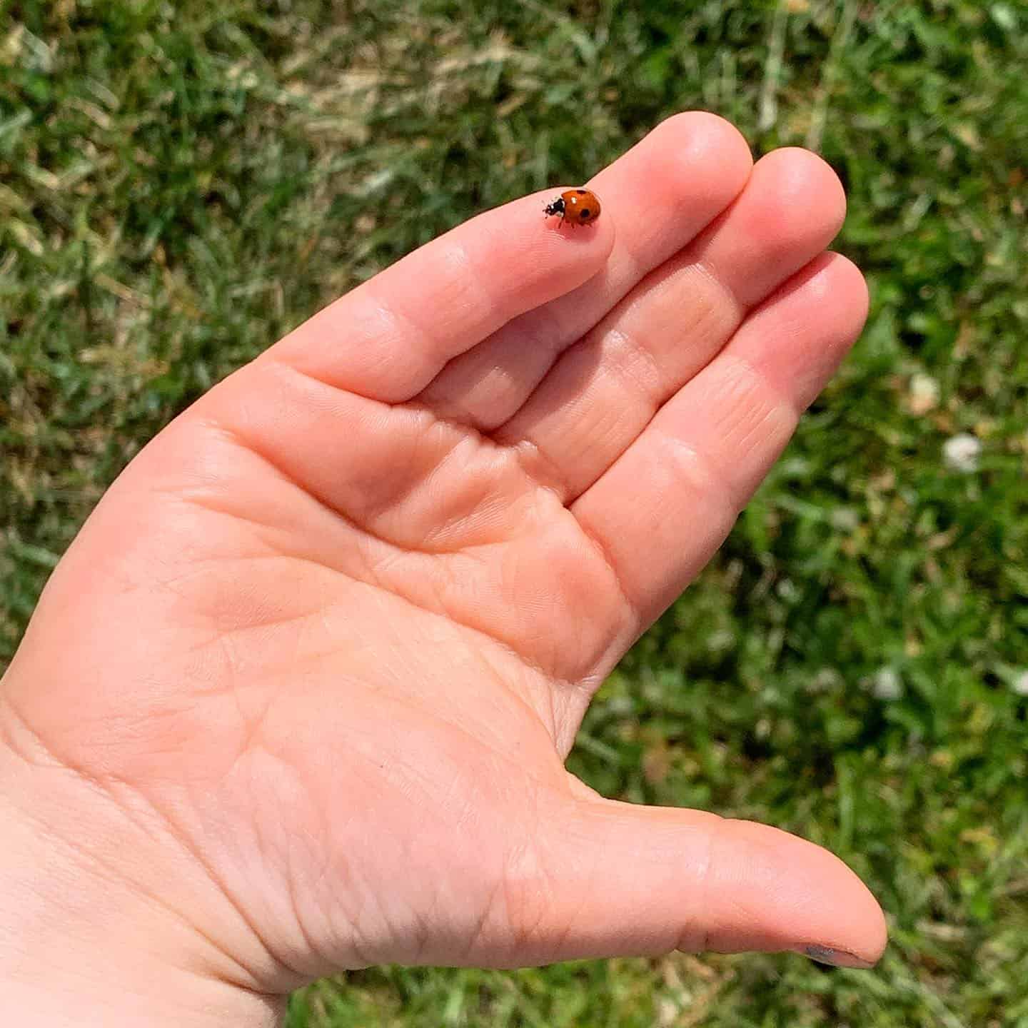 8 Developmental Benefits of Gardening for Kids 9 gardening for kids fosters a lifelong love of nature