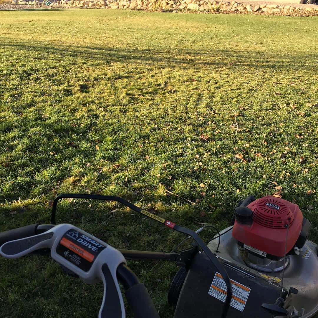 When should you STOP mowing your lawn in UK? (last cut of the year) 2 last grass cut before winter