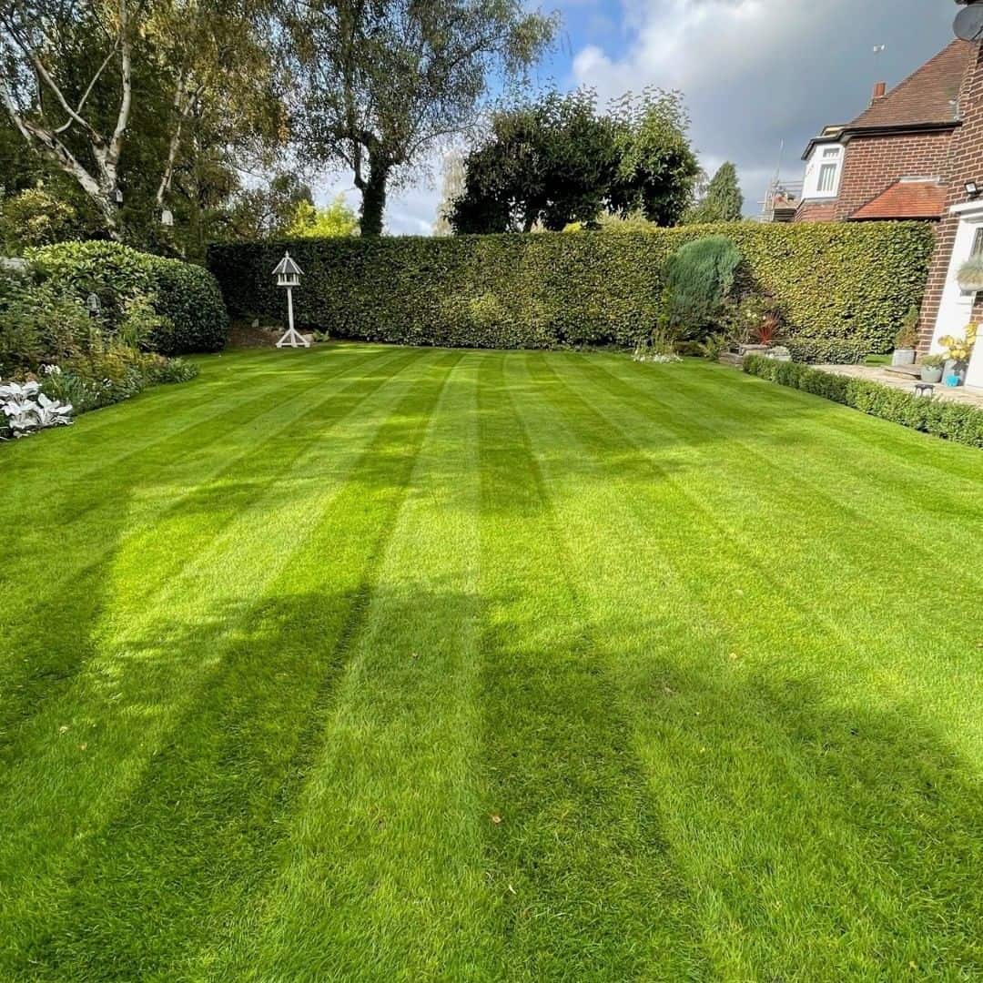 When to Seed a Lawn: Best Time to Sow Grass Seeds in UK 5 lawn seeding tips