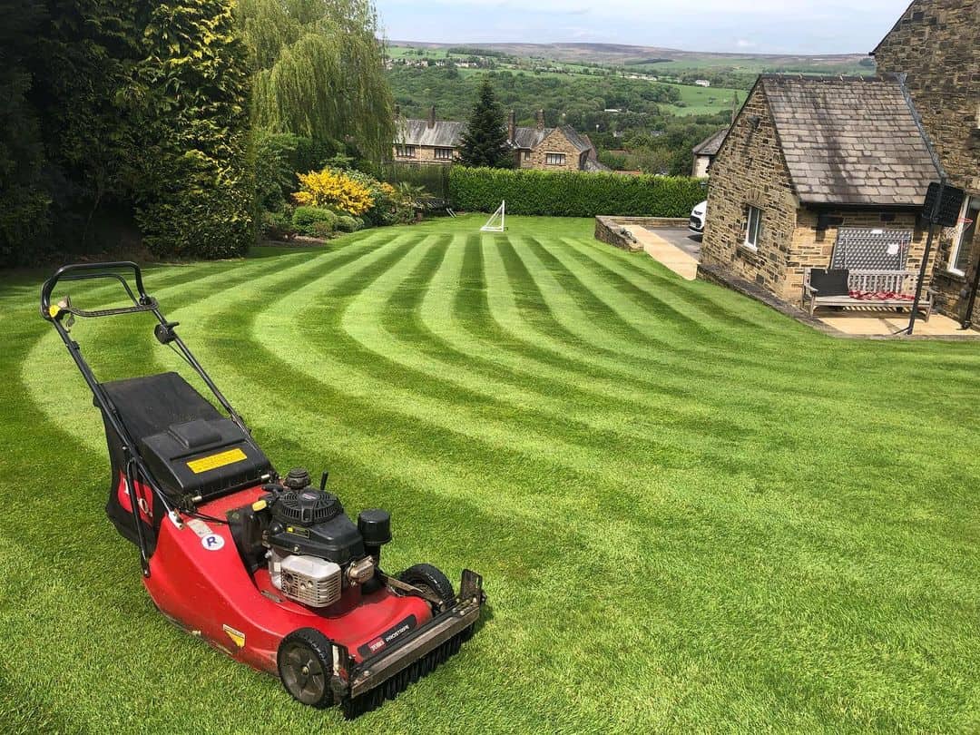 lawn with stripes