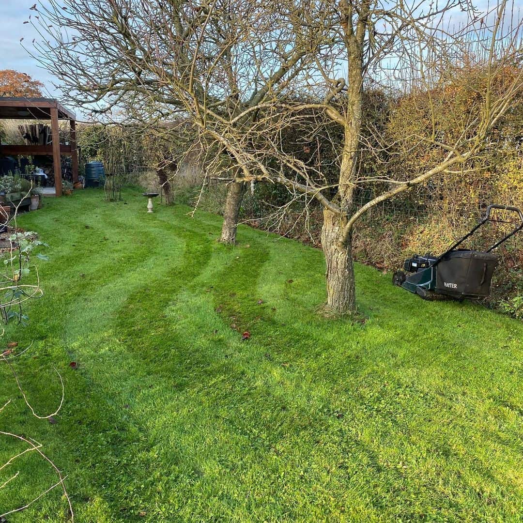 When should you STOP mowing your lawn in UK? (last cut of the year) 3 mow if you have to