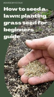 How to Seed a Lawn: Planting Grass Seed for Beginners Guide 6 How to seed a lawn planting grass seed for beginners guide-min