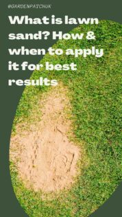 What is Lawn Sand? How & When to Apply it for Best Results 10 What is lawn sand How & when to apply it for best results-min