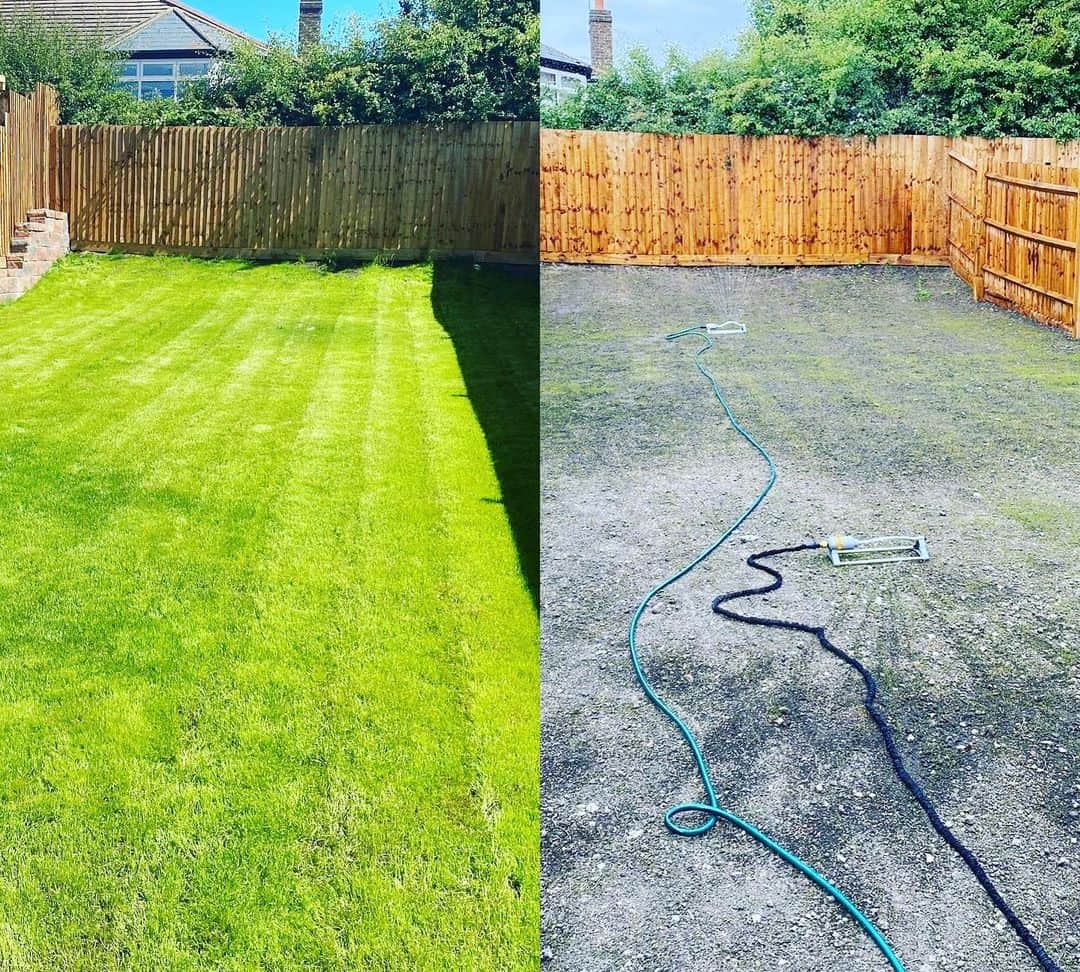 How to Seed a Lawn: Planting Grass Seed for Beginners Guide 1 how to seed a lawn