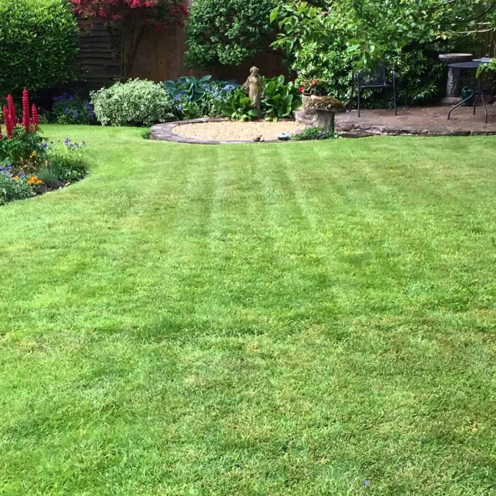 What is Lawn Sand? How & When to Apply it for Best Results 4 lawn revived by lawn sand