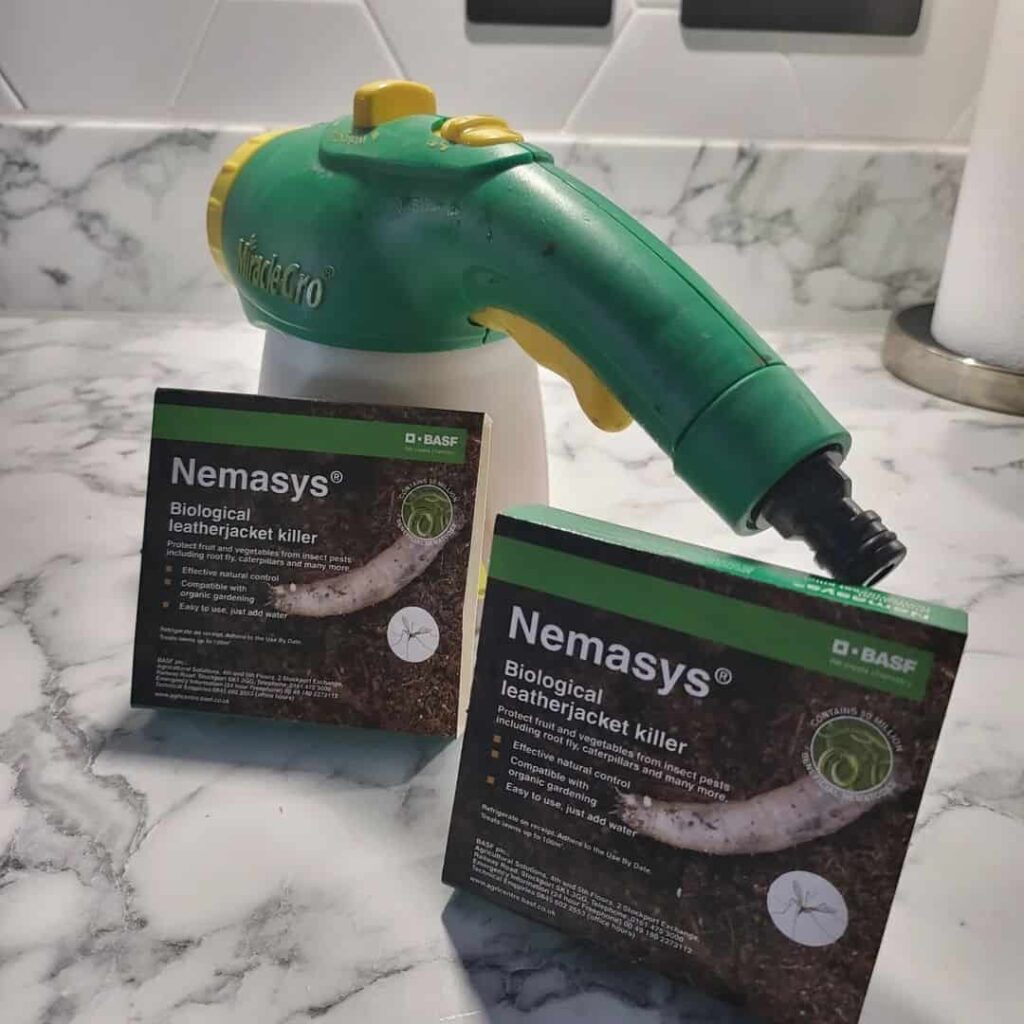 nematodes to kill leatherjackets