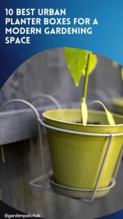 10 Best Urban Planter Boxes for a Modern Gardening Space 11 10 BEST URBAN PLANTER BOXES FOR A MODERN GARDENING SPACE-min