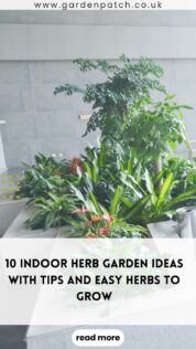 10 INDOOR HERB GARDEN IDEAS WITH TIPS AND EASY HERBS TO GROW-min