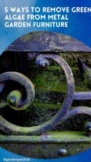 5 WAYS TO REMOVE GREEN ALGAE FROM METAL GARDEN FURNITURE