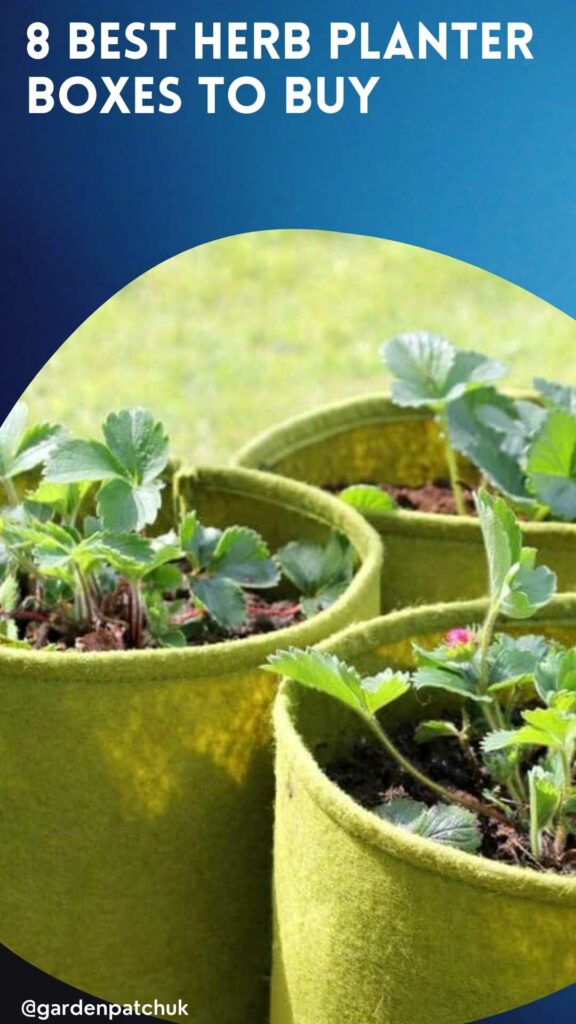 8 BEST HERB PLANTER BOXES TO BUY-min