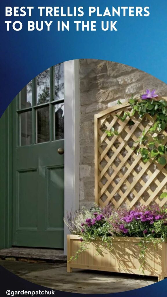 BEST TRELLIS PLANTERS TO BUY IN THE UK-min