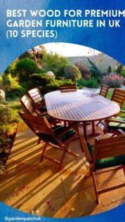 BEST WOOD FOR PREMIUM GARDEN FURNITURE IN UK (10 SPECIES)