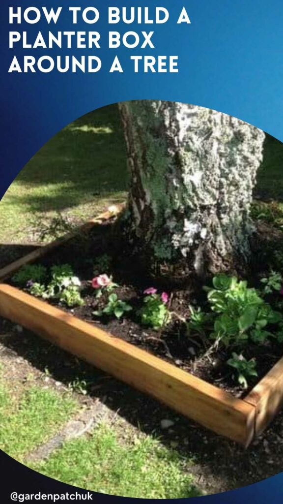 How to Build a Planter Box Around a Tree 5 HOW TO BUILD A PLANTER BOX AROUND A TREE-min