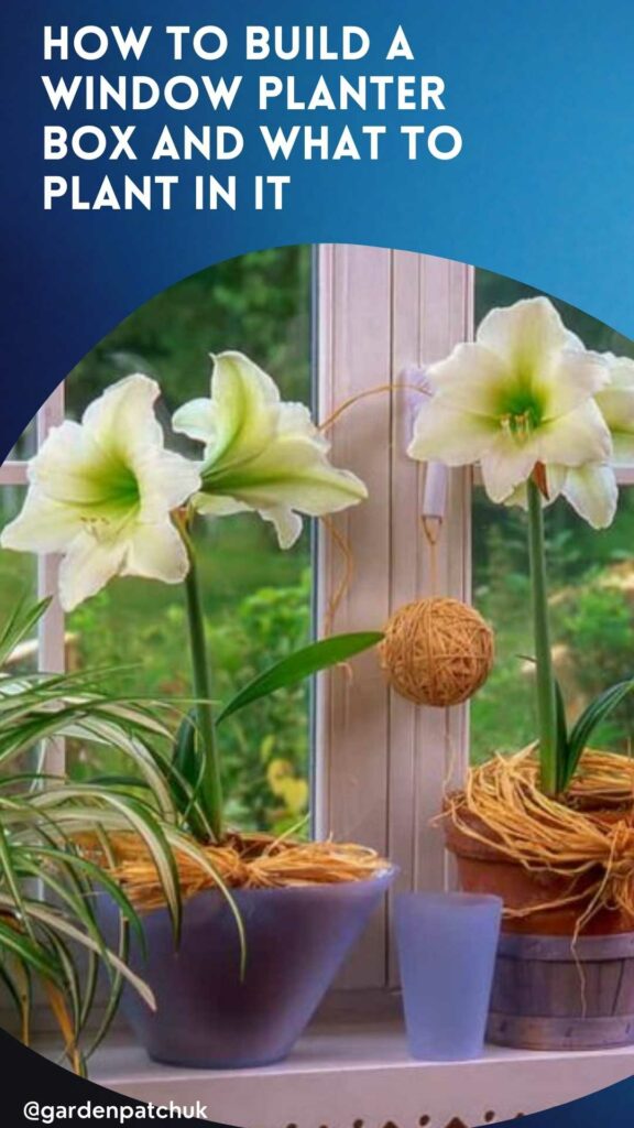 HOW TO BUILD A WINDOW PLANTER BOX AND WHAT TO PLANT IN IT-min