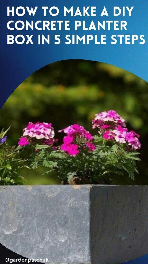 How to Make a DIY Concrete Planter Box in 5 Simple Steps 3 HOW TO MAKE A DIY CONCRETE PLANTER BOX IN 5 SIMPLE STEPS-min