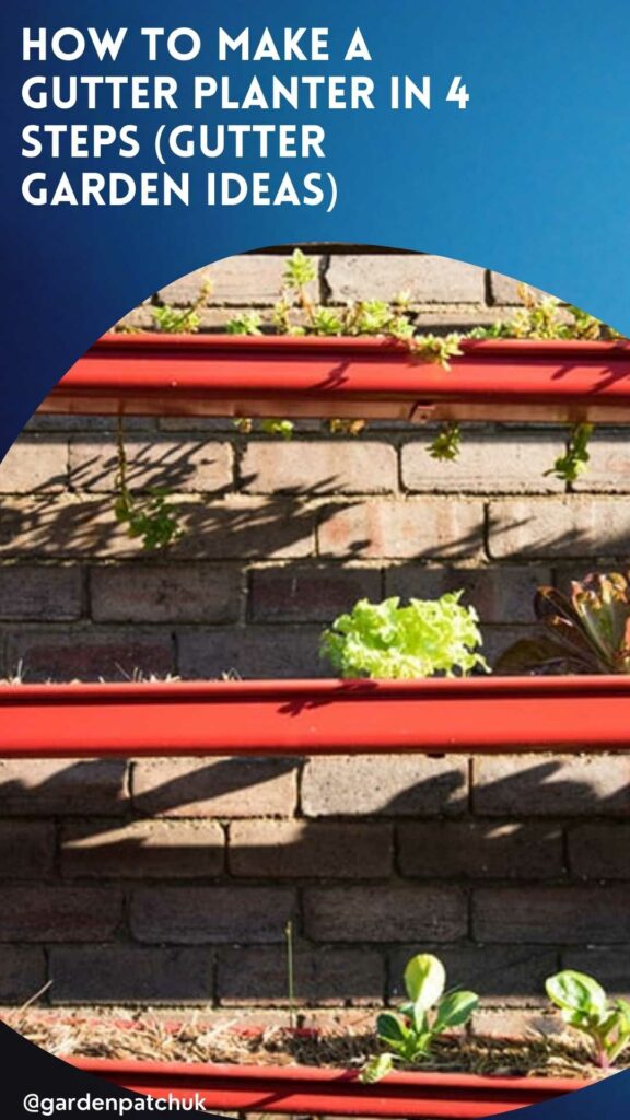 How to Make a Gutter Planter in 4 Steps (Gutter Garden Ideas) 7 HOW TO MAKE A GUTTER PLANTER IN 4 STEPS (GUTTER GARDEN IDEAS)-min