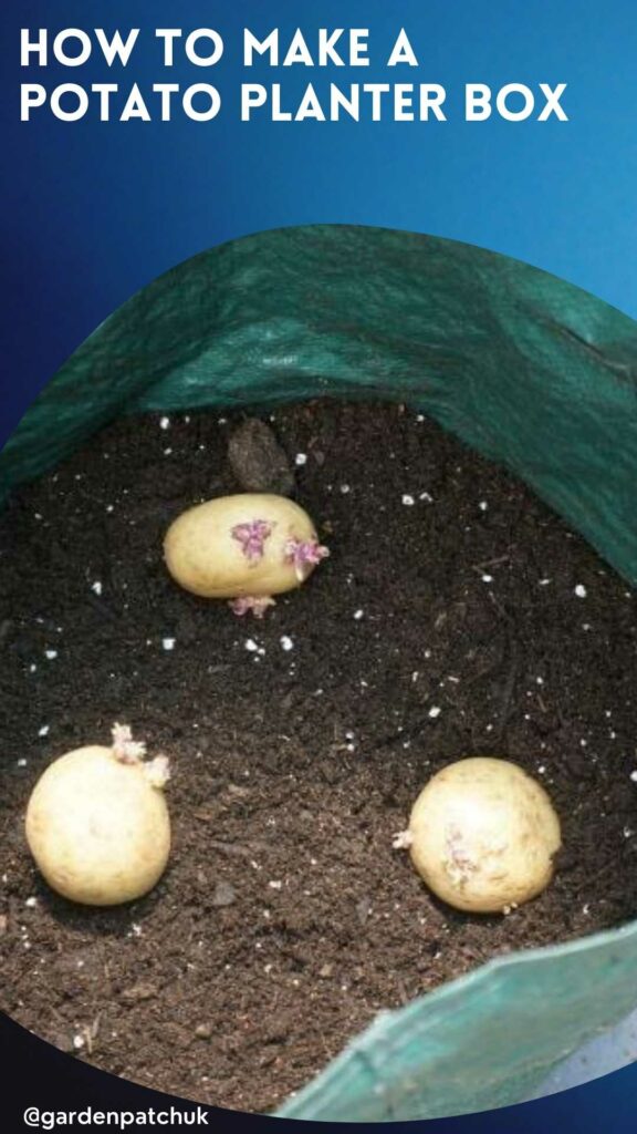 How to Make a DIY Potato Planter Box 4 HOW TO MAKE A POTATO PLANTER BOX-min