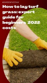 How to lay turf grass expert guide for beginners (2022 costs)-min