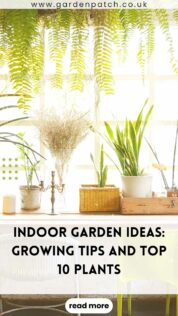 INDOOR GARDEN IDEAS GROWING TIPS AND TOP 10 PLANTS-min