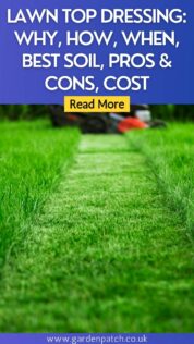 LAWN TOP DRESSING WHY, HOW, WHEN, BEST SOIL, PROS & CONS, COST-min
