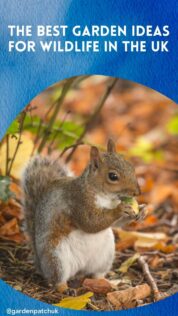 THE BEST GARDEN IDEAS FOR WILDLIFE IN THE UK