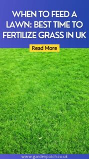 WHEN TO FEED A LAWN BEST TIME TO FERTILIZE GRASS IN UK-min