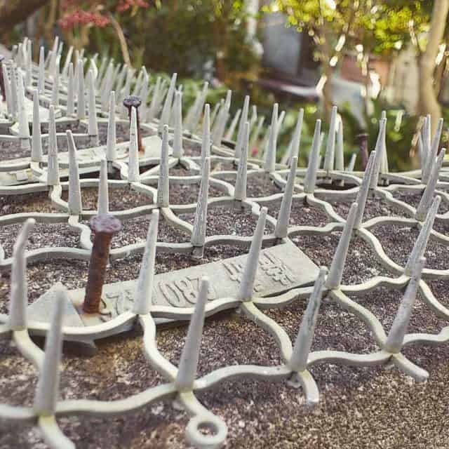 9 Cruelty-Free Ways to Stop Cats From Pooping on the Garden Lawn 6 cat repellent mat