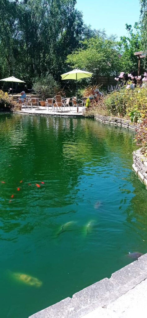 6 Wheelchair-Accessible Garden Design Elements for Easier Gardening 5 fishpond