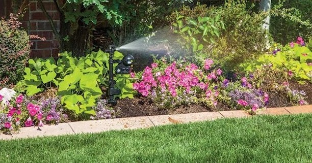 9 Cruelty-Free Ways to Stop Cats From Pooping on the Garden Lawn 4 motion sensor water jet