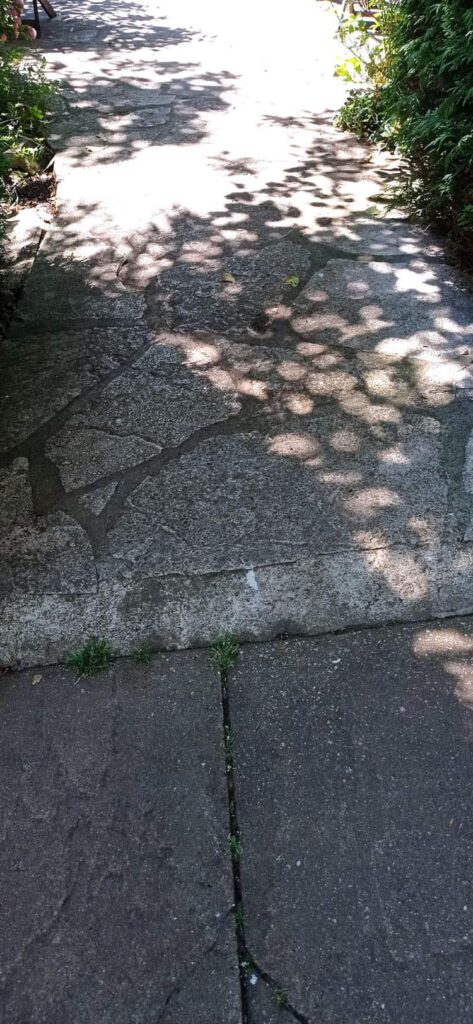 6 Wheelchair-Accessible Garden Design Elements for Easier Gardening 1 stone path