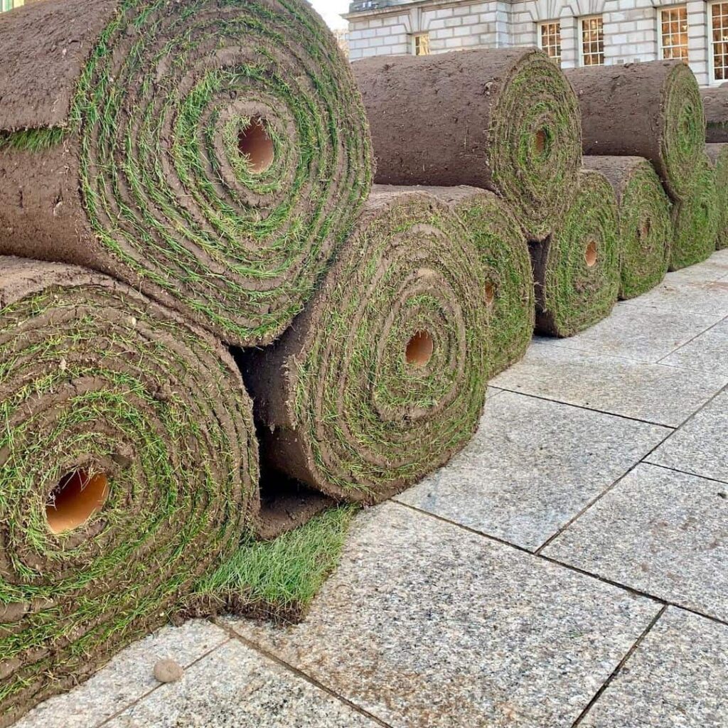 turf rolls