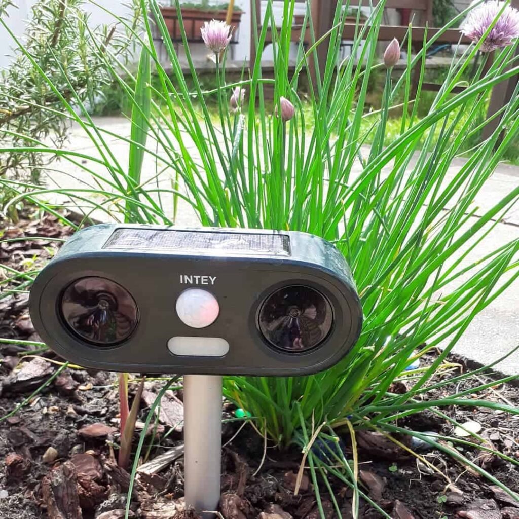 9 Cruelty-Free Ways to Stop Cats From Pooping on the Garden Lawn 3 ultrasonic cat deterrent