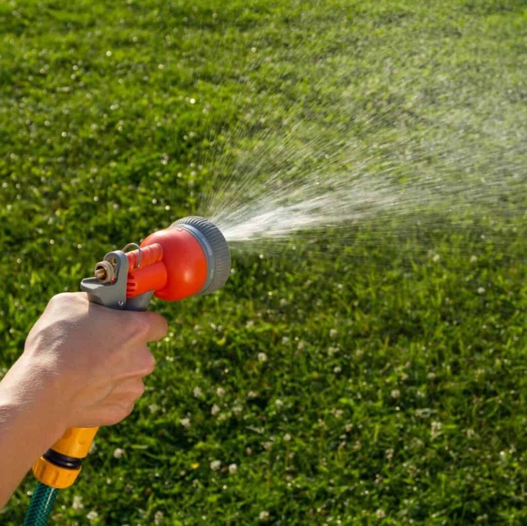 watering the lawn