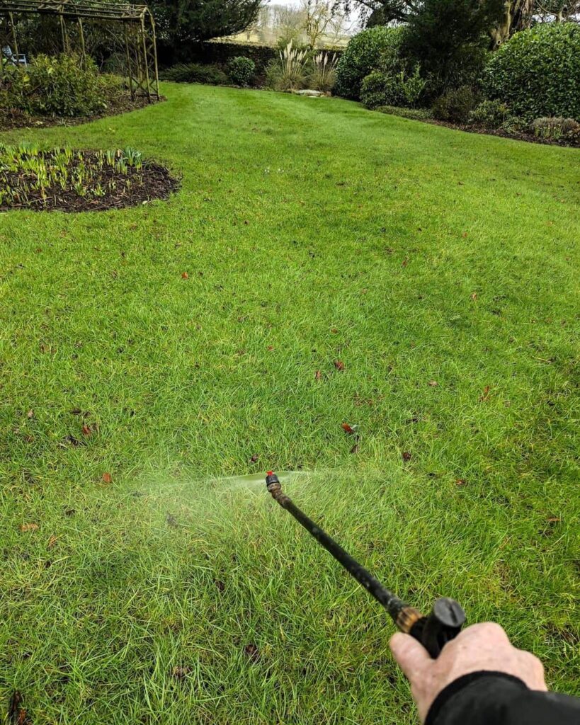 applying iron sulphate with a sprayer