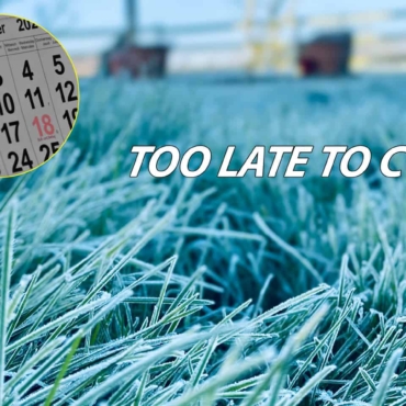 can i mow the lawn in november