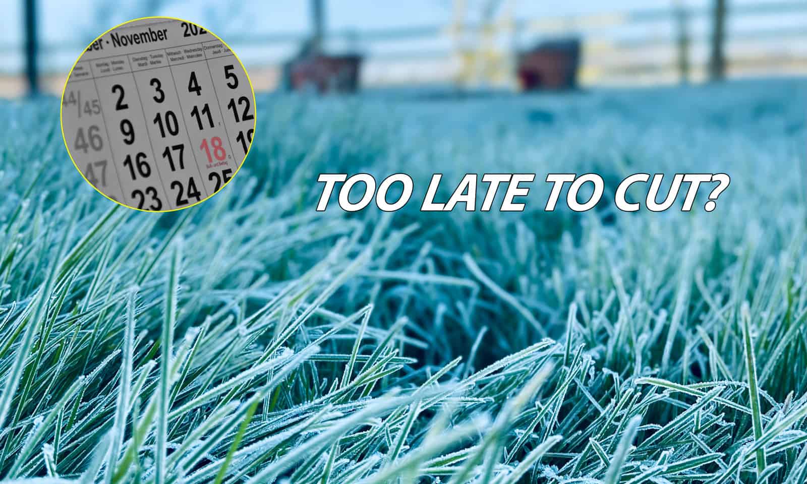 Can I Cut Grass in November? Is it Too Late to Mow the Lawn? 1 can i mow the lawn in november