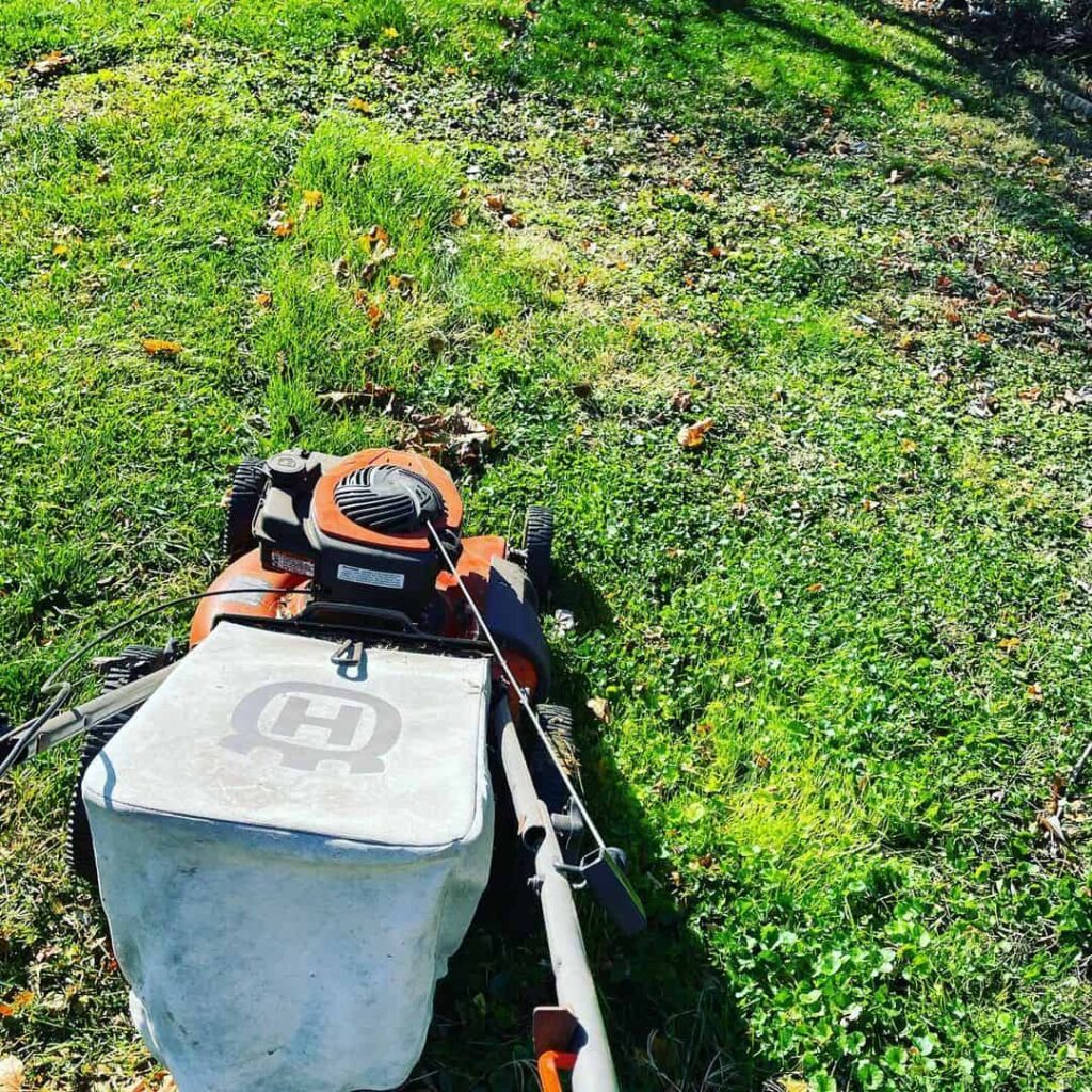 Can I Cut Grass in November? Is it Too Late to Mow the Lawn? 2 debris on lawn while moving