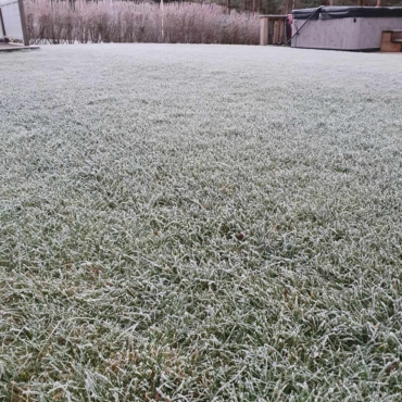 frozen lawn