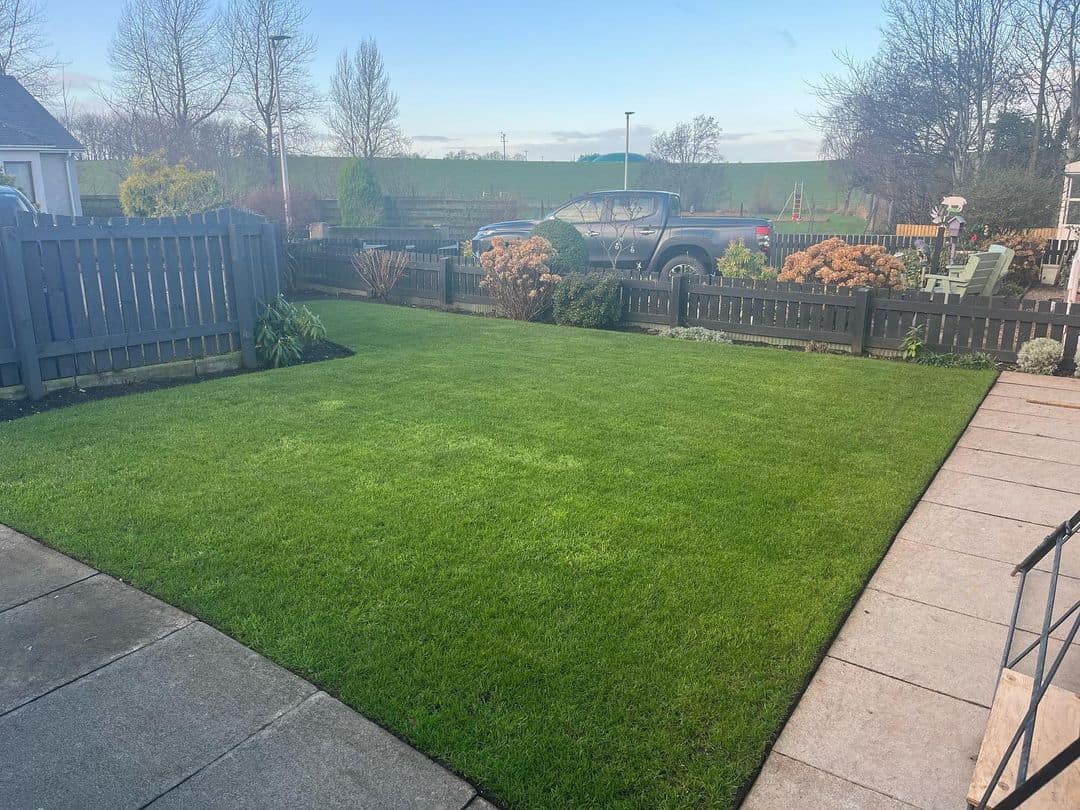 lush green lawn after successful iron application