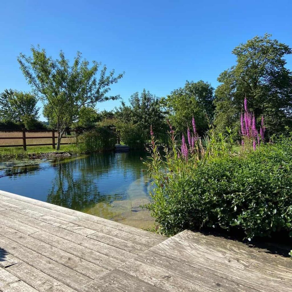 natural decking for a wild pool