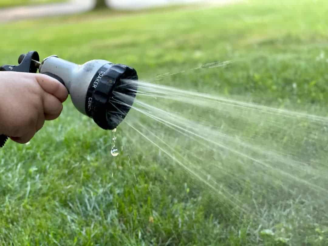 pre-water your lawn
