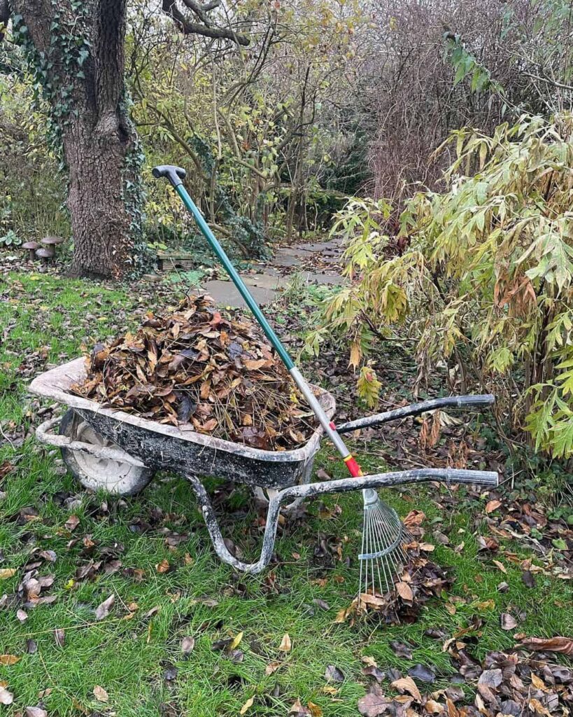 Can I Mow the Lawn in February? How to Do It Safely 2 raking leaves from the lawn