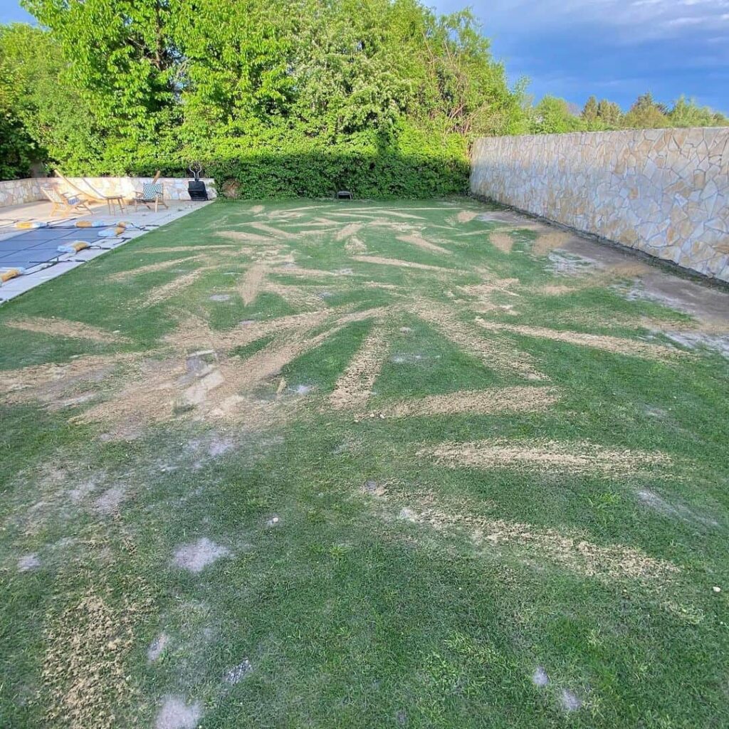 topdressing lawn in autumn