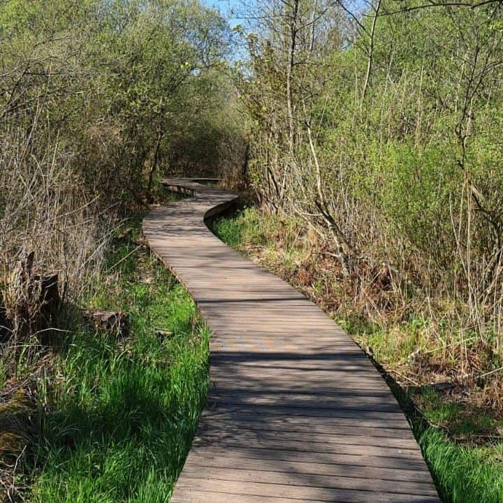 winding decking path