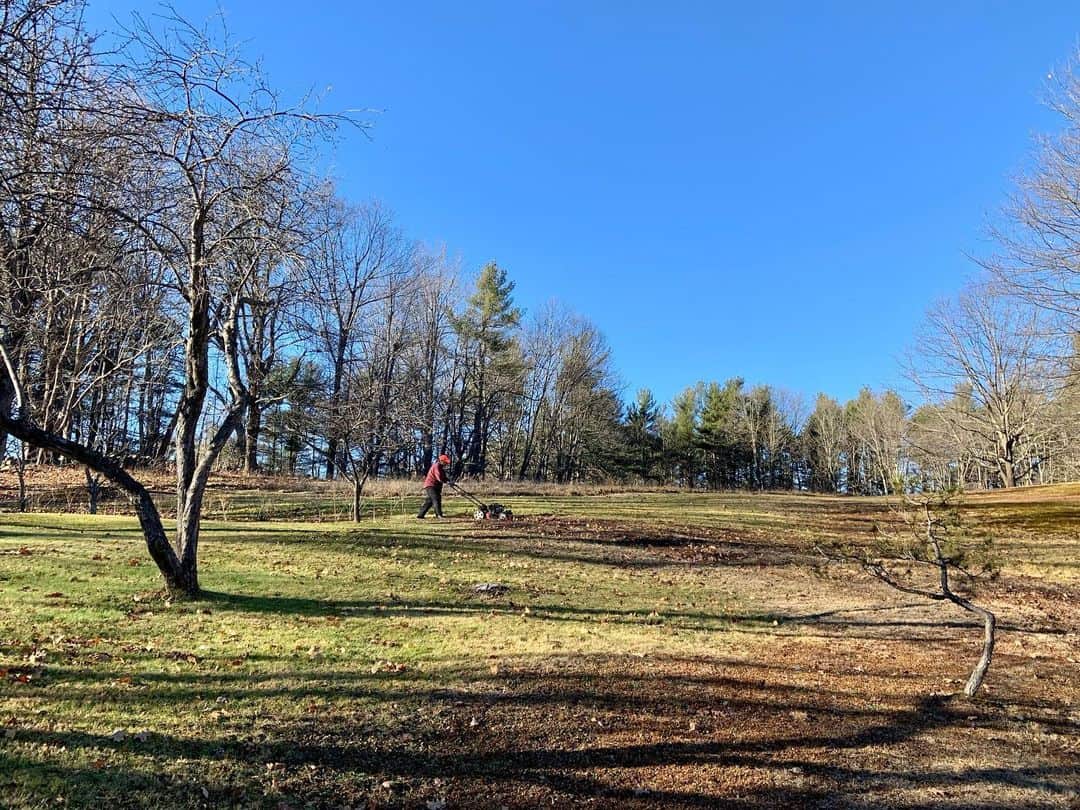 Can I Mow the Lawn in February? How to Do It Safely 4 winter lawn mowing