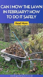 Can I Mow the Lawn in February? How to Do It Safely 5 CAN I MOW THE LAWN IN FEBRUARY HOW TO DO IT SAFELY-min