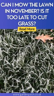 Can I Cut Grass in November? Is it Too Late to Mow the Lawn? 4 CAN I MOW THE LAWN IN NOVEMBER IS IT TOO LATE TO CUT GRASS-min