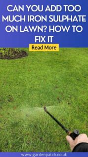CAN YOU ADD TOO MUCH IRON SULPHATE ON LAWN HOW TO FIX IT-min