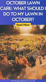 OCTOBER LAWN CARE WHAT SHOULD I DO TO MY LAWN IN OCTOBER-min